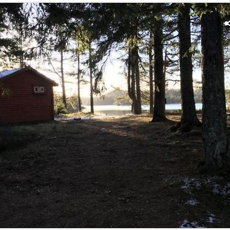 Cabin In The Woods, Lolandsvannet Near Kristiansand Vennesla Dış mekan fotoğraf