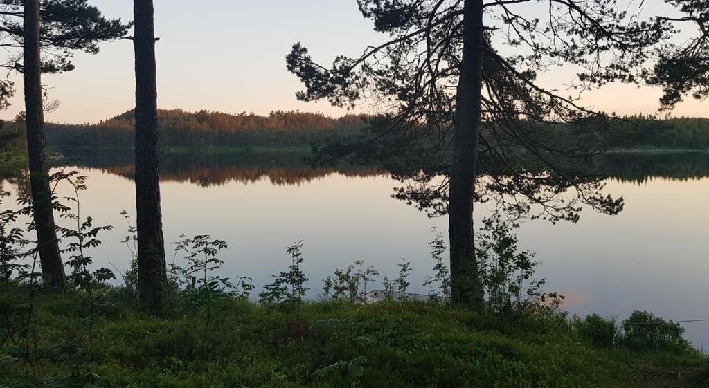 Cabin In The Woods, Lolandsvannet Near Kristiansand Vennesla Dış mekan fotoğraf