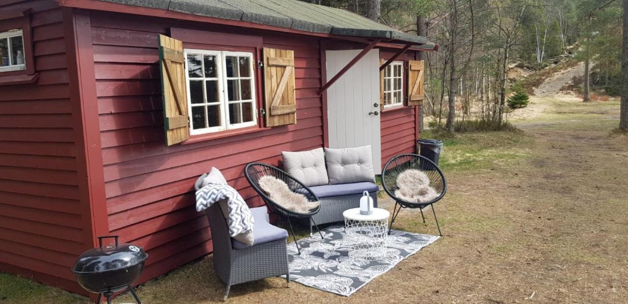 Cabin In The Woods, Lolandsvannet Near Kristiansand Vennesla Dış mekan fotoğraf