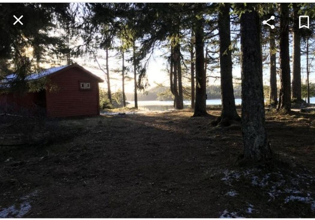 Cabin In The Woods, Lolandsvannet Near Kristiansand Vennesla Dış mekan fotoğraf